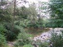 Bandon Grove Reserve - Bandon Grove/Dungog 